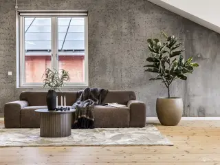 Kontor med design, funktion og grøn omstilling i højsædet