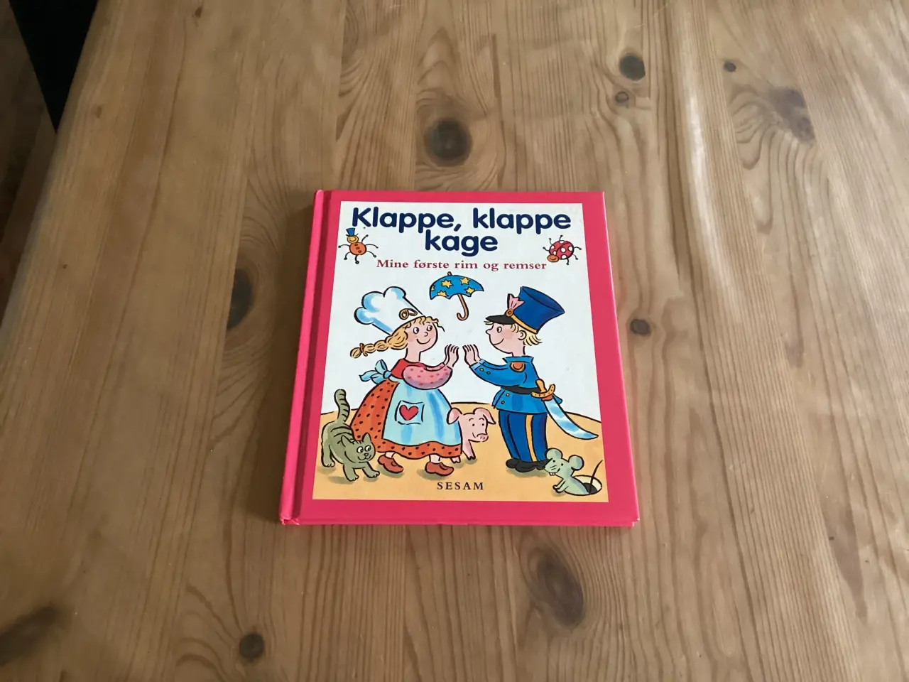 Billede 10 - Sangbøger 