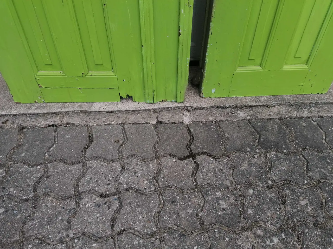 Billede 8 - Gammel Dobbeltdør UDEN Karm BxH 112x176 cm