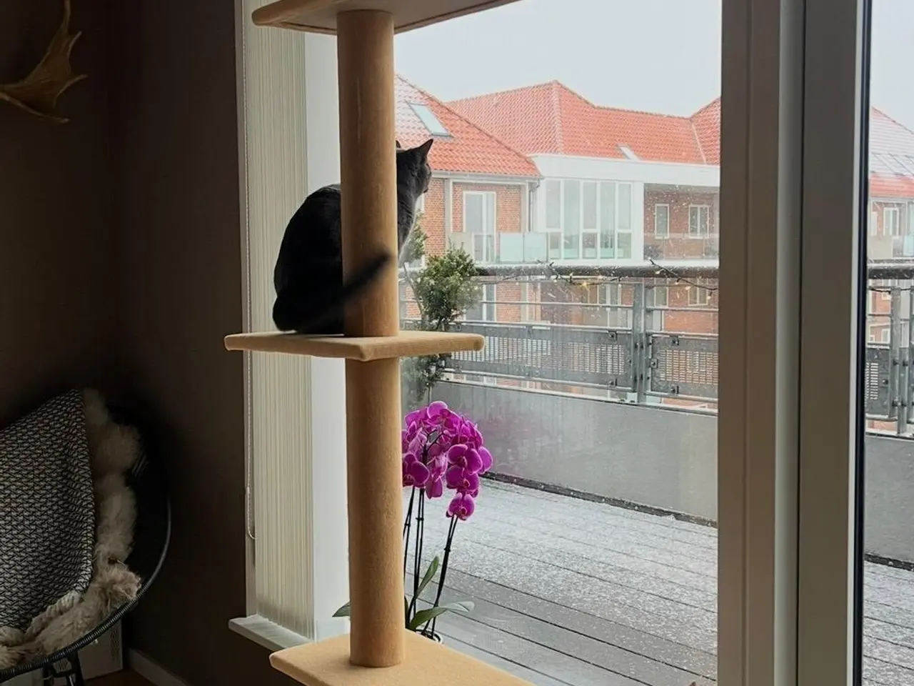 Billede 1 - Gulv-til-loft katteklatretræ / kattetårn