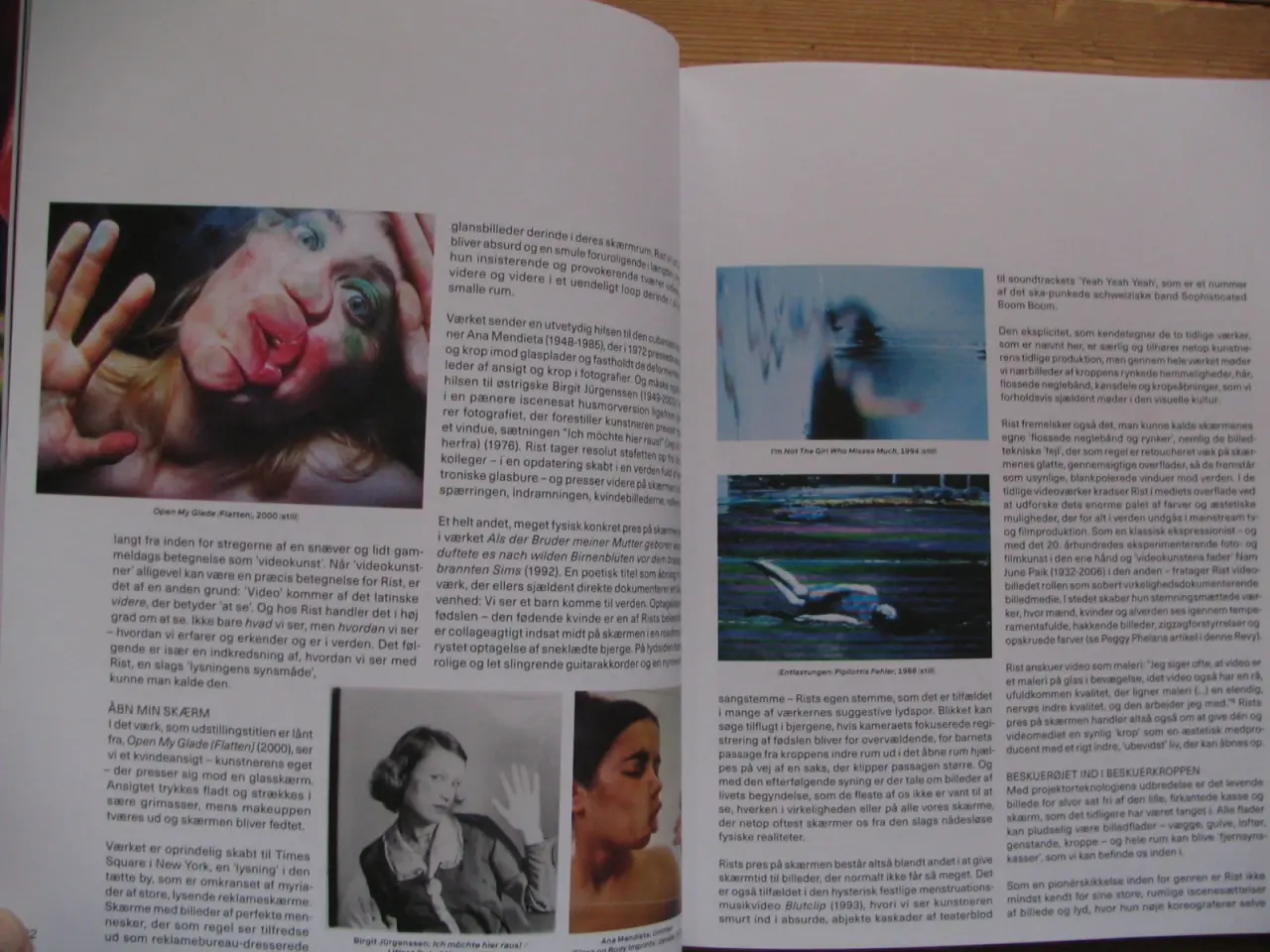 Billede 4 - Pipilotti Rist: Åbn min lysning