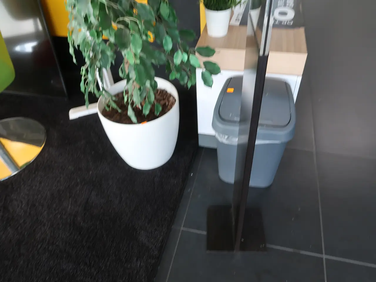 Billede 3 - Plante I krukke