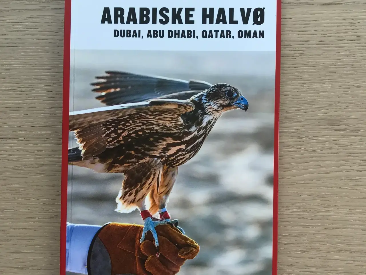 Billede 1 - Turen går til Arabiske Halvø