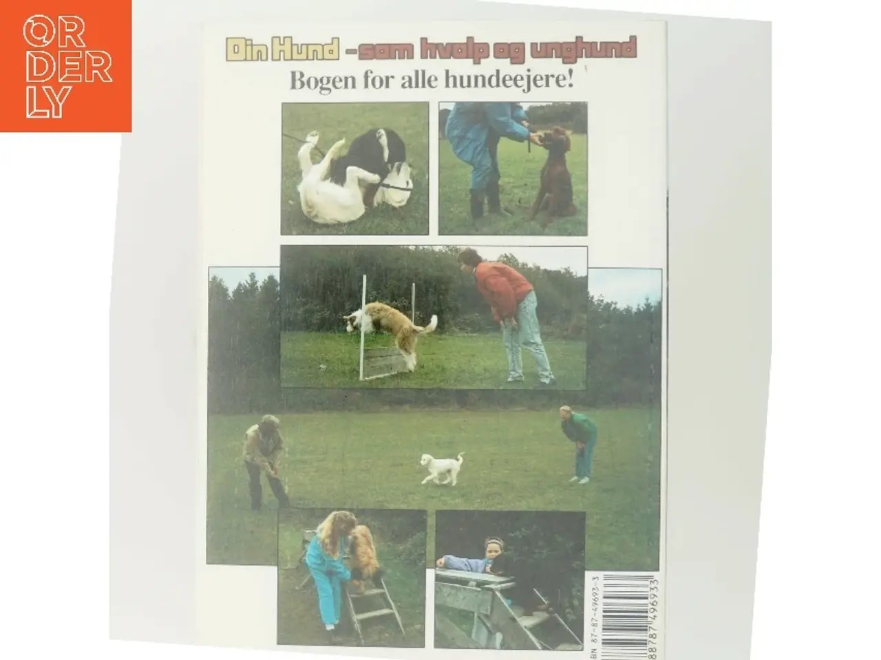 Billede 3 - Din hund - som hvalp og unghund (Bog)