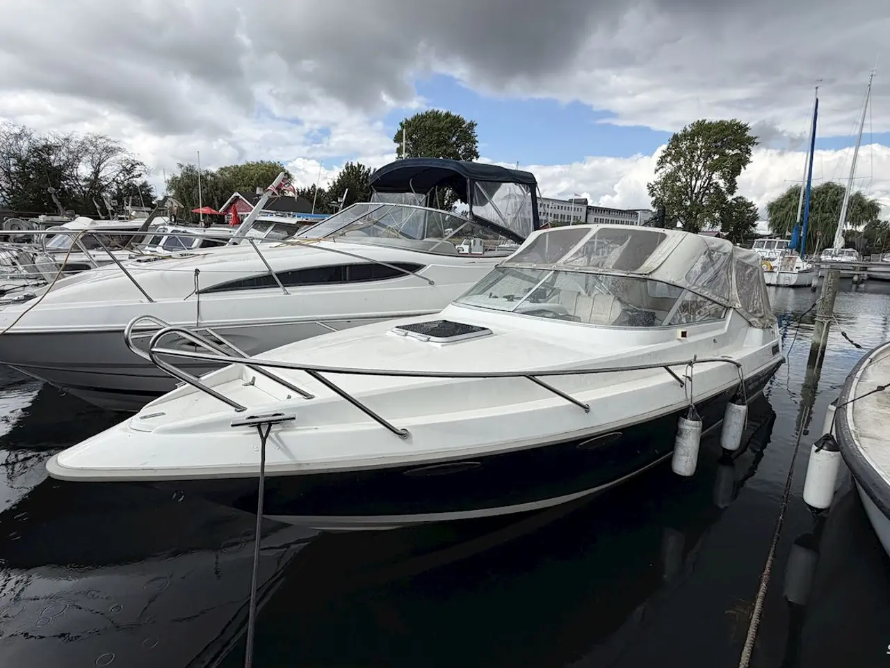 Billede 2 - Laguna 7500