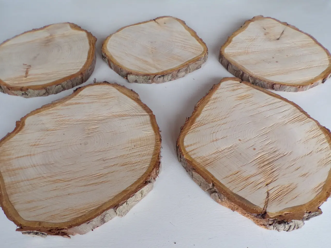 Billede 2 - 5 Thuja Træskiver med bark - 25,5 - 27,5 cm