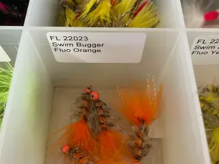 Diverse fluer