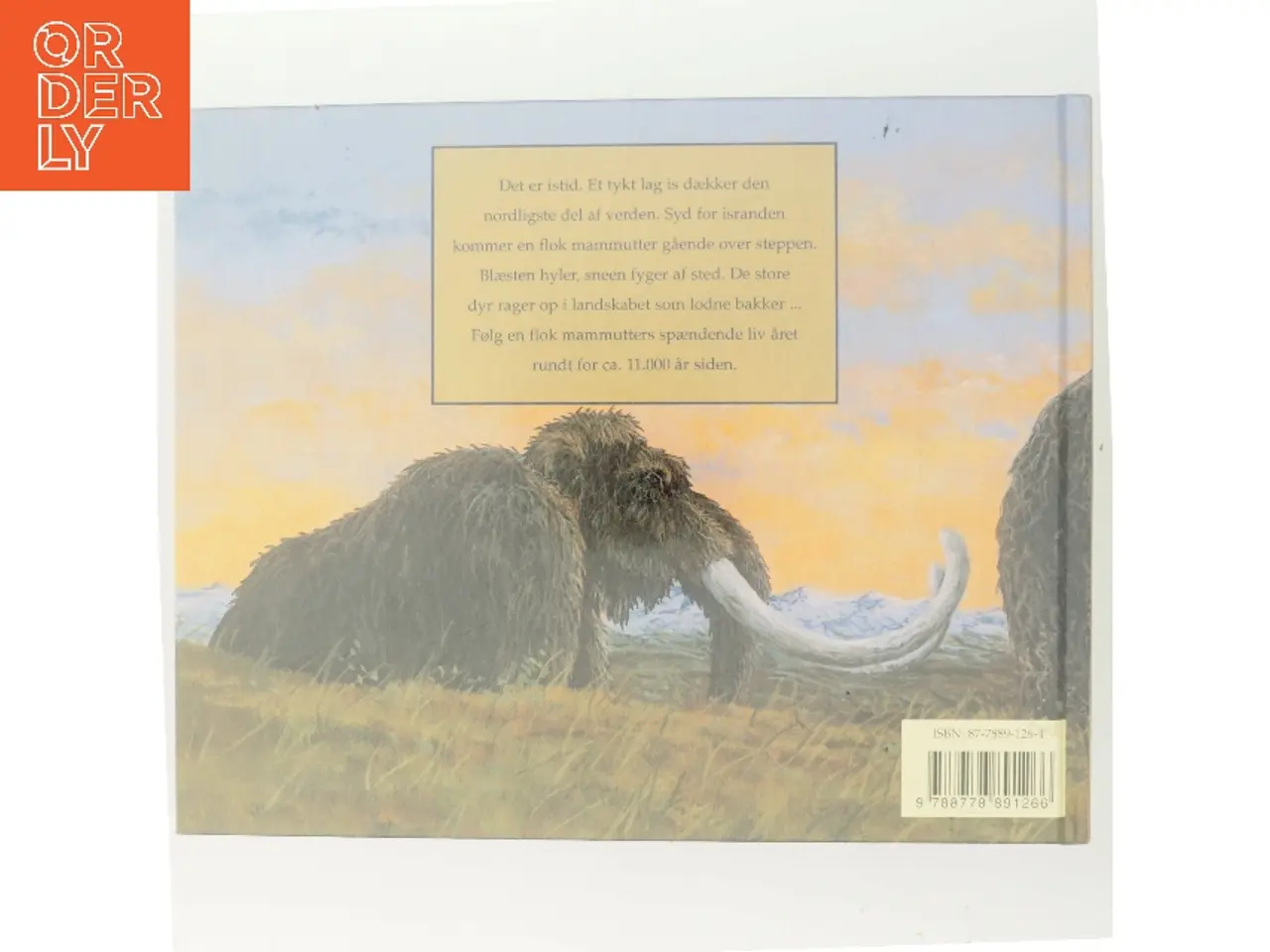 Billede 3 - Mammut! (Bog)