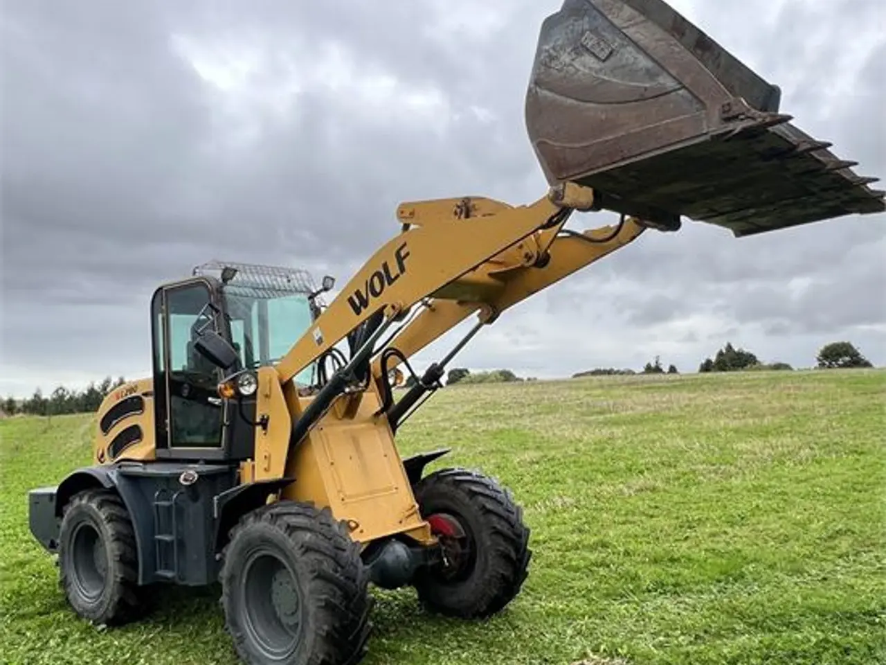 Billede 13 - Wolf WL280 - 6,5 ton - Video