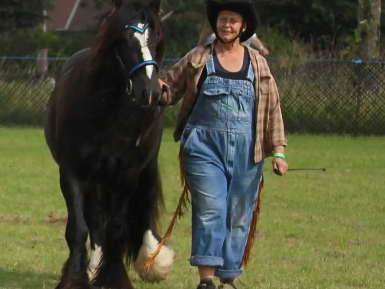 Billede 14 - Tinker/Irish cob vallak