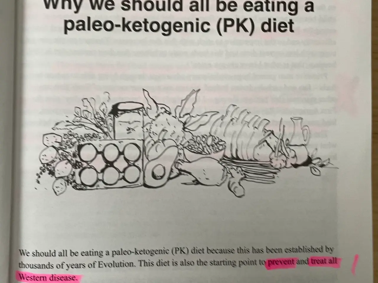 Billede 3 - Paleo-ketogenic: the why and the how