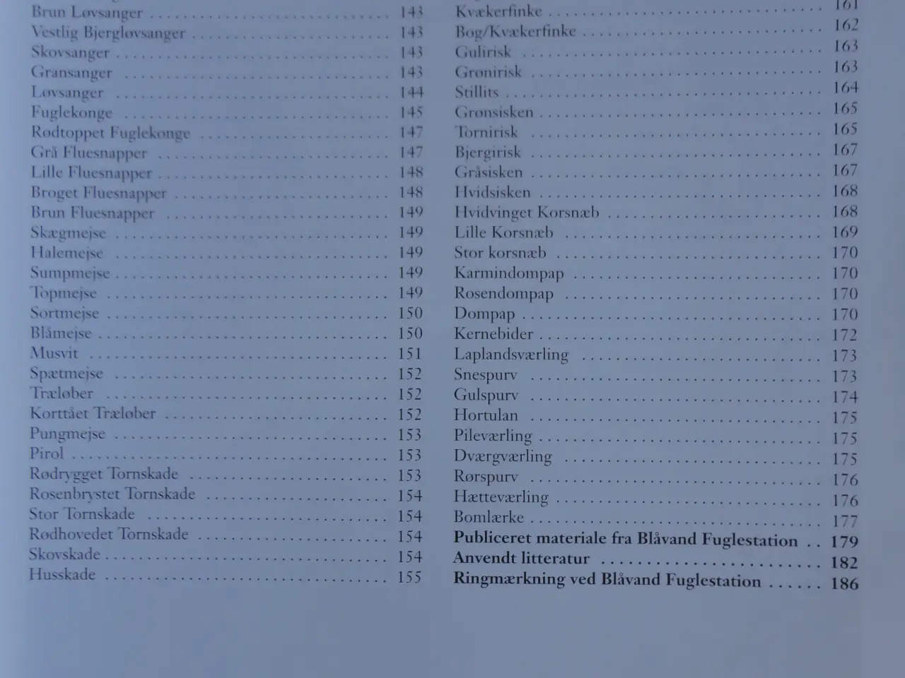 Billede 5 - Fuglene ved Blåvandshuk  :