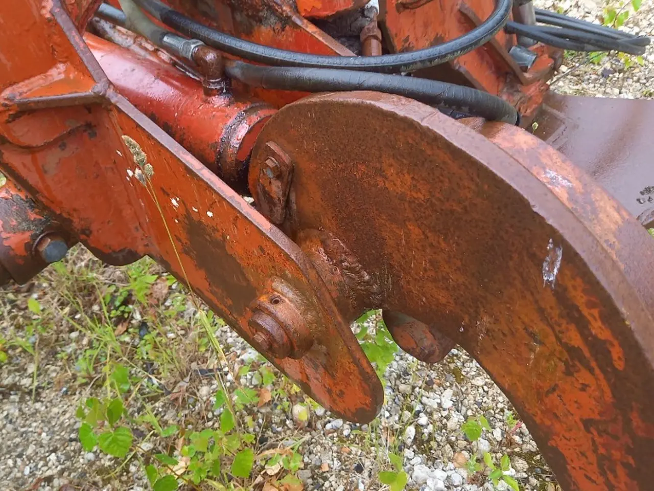 Billede 5 - Skovspil 