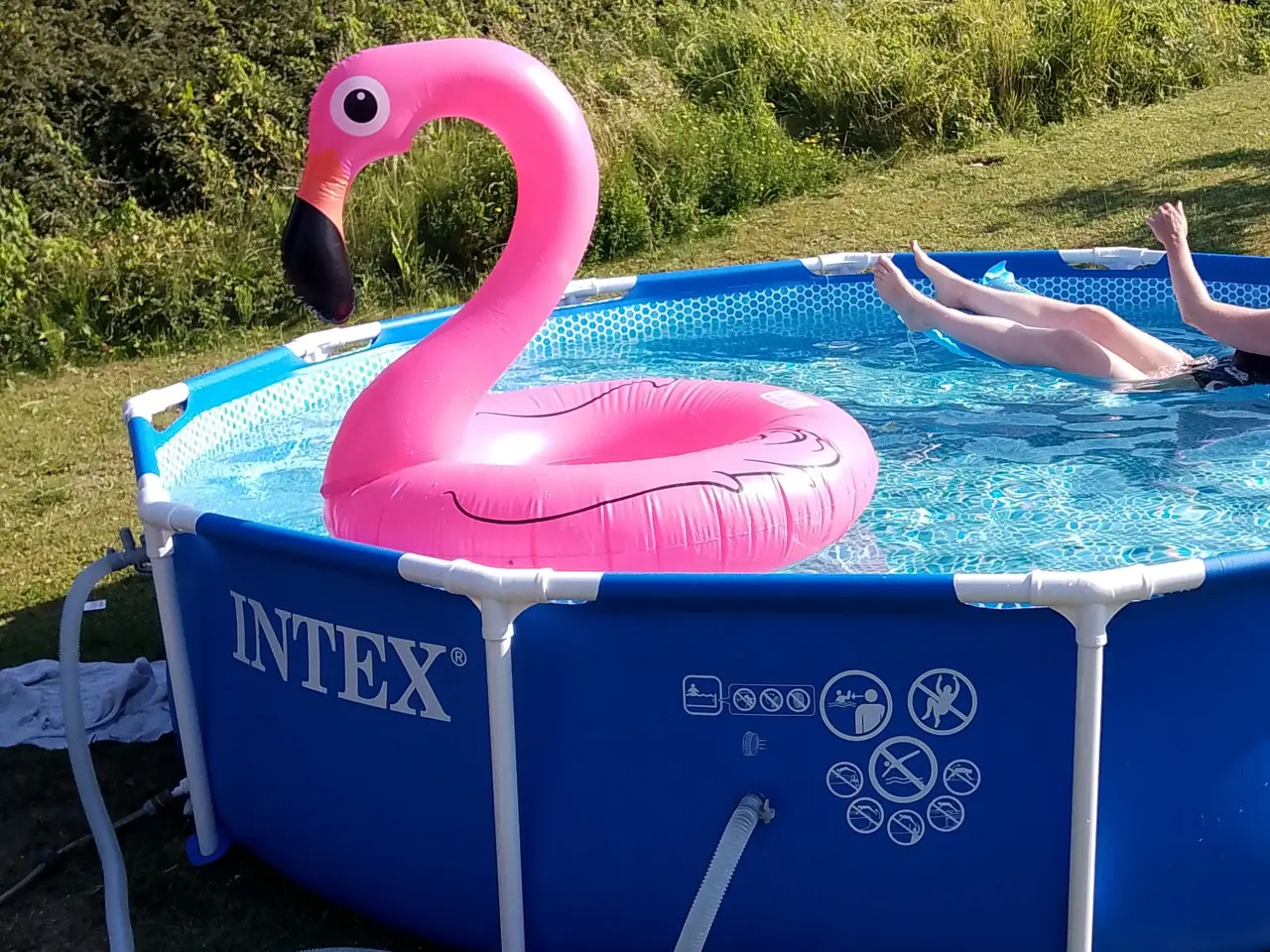 Billede 2 - Pool med pumpe.