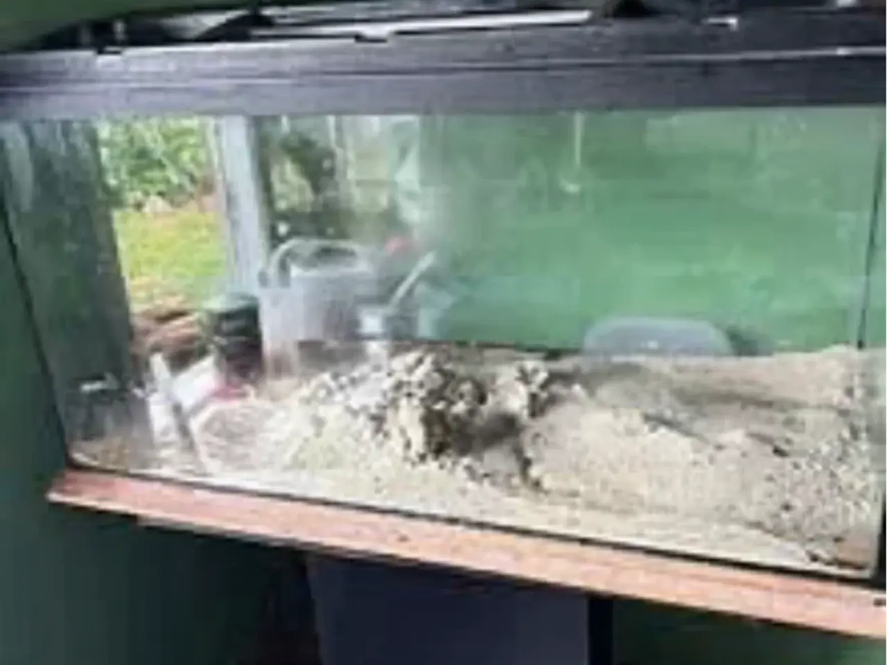 Billede 1 - Akvarium 112 liter