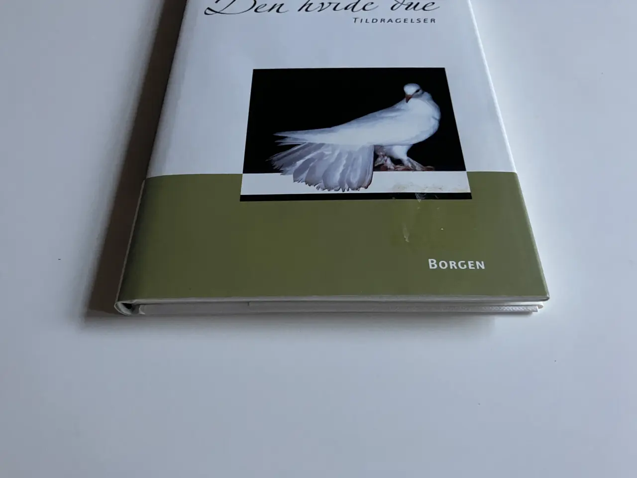 Billede 7 - Den hvide due - tildragelser. Af Benny Andersen