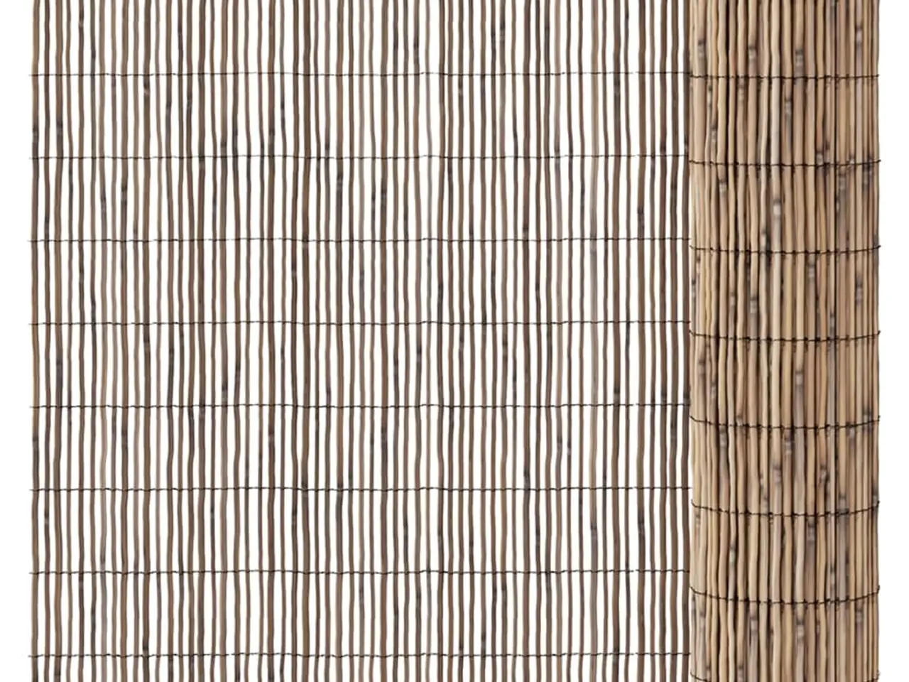 Billede 2 - Havehegn 500x90 cm siv
