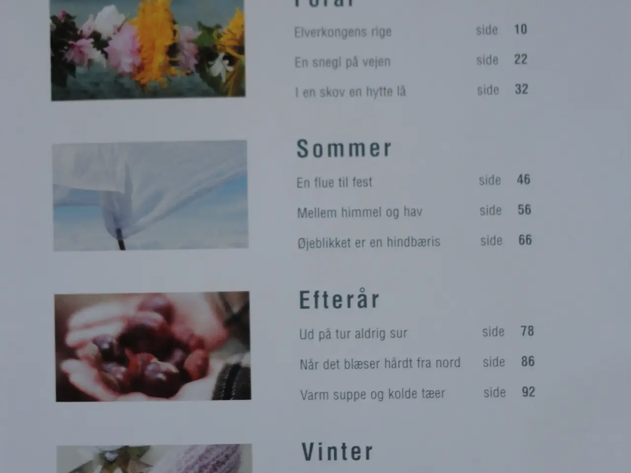 Billede 3 - Årstider med børn :