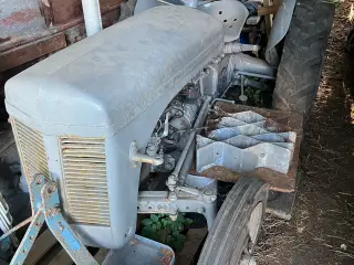Massey Ferguson 31
