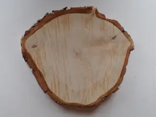 NY Thuja Træskive med bark 26x24 cm