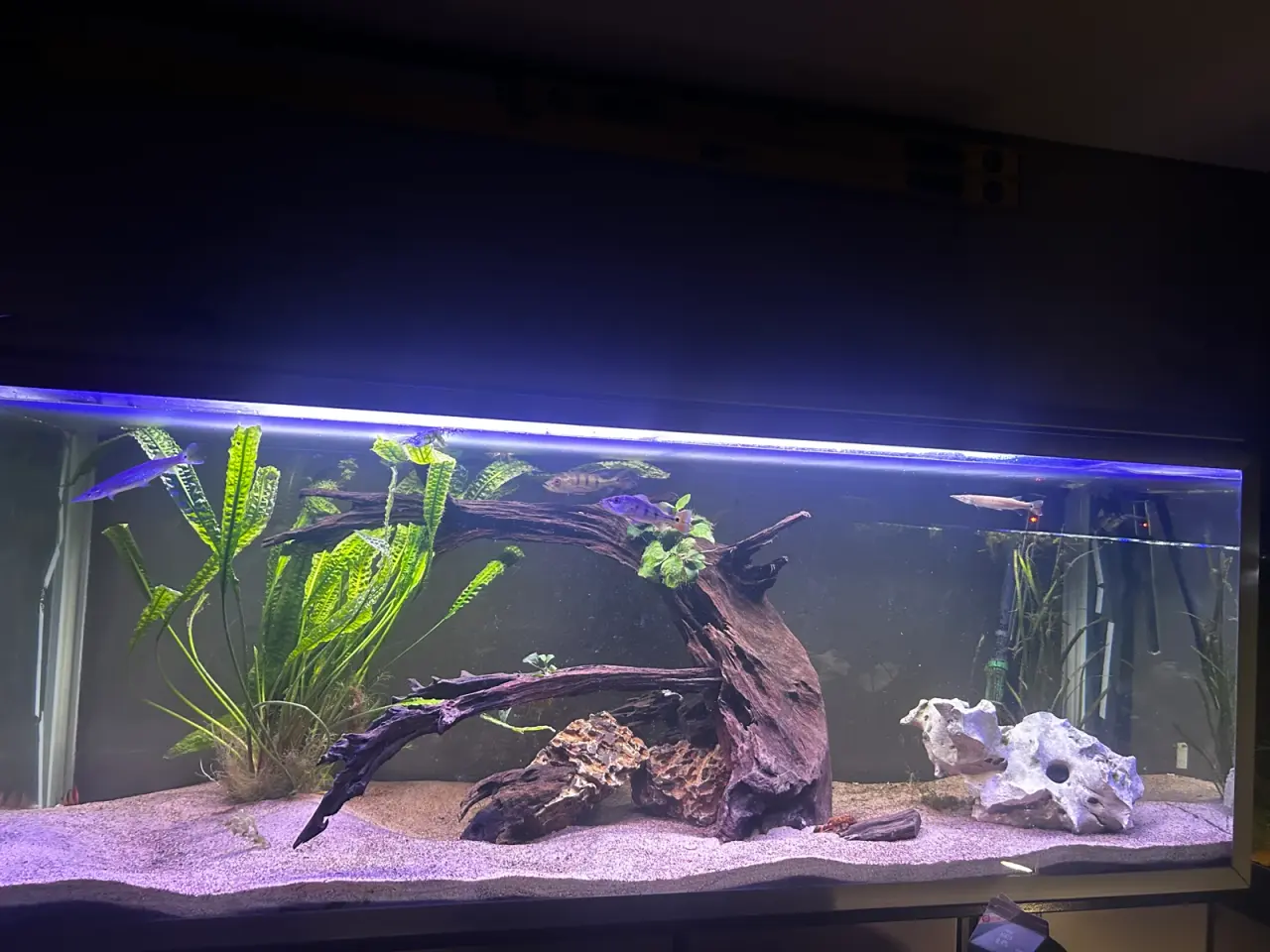 Billede 1 - 570 L akvarie