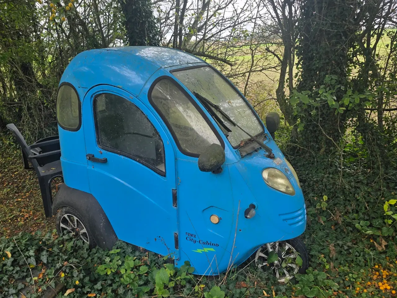 Billede 1 - Fønix kabinescooter