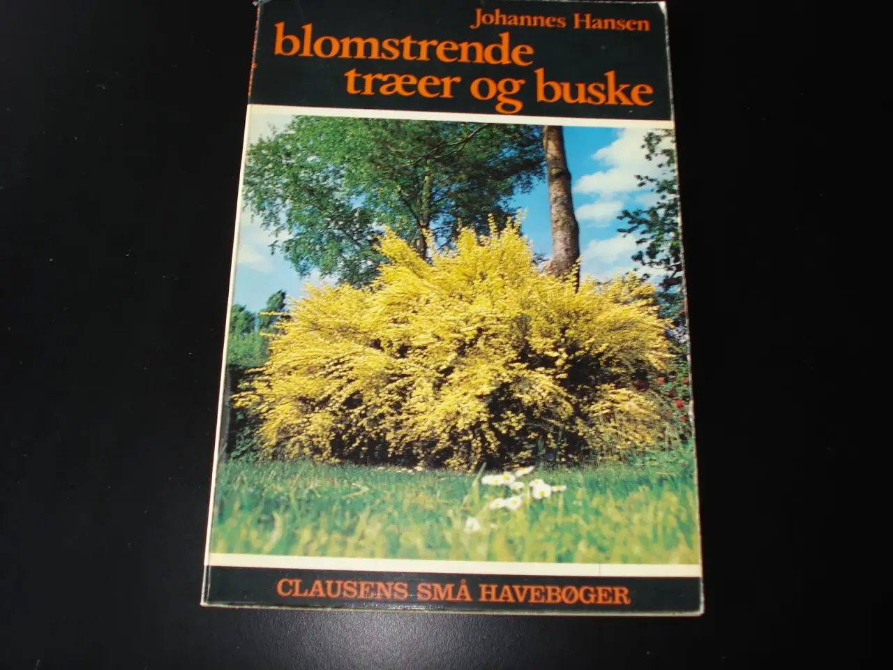 Billede 1 - Blomstrende træer og buske
