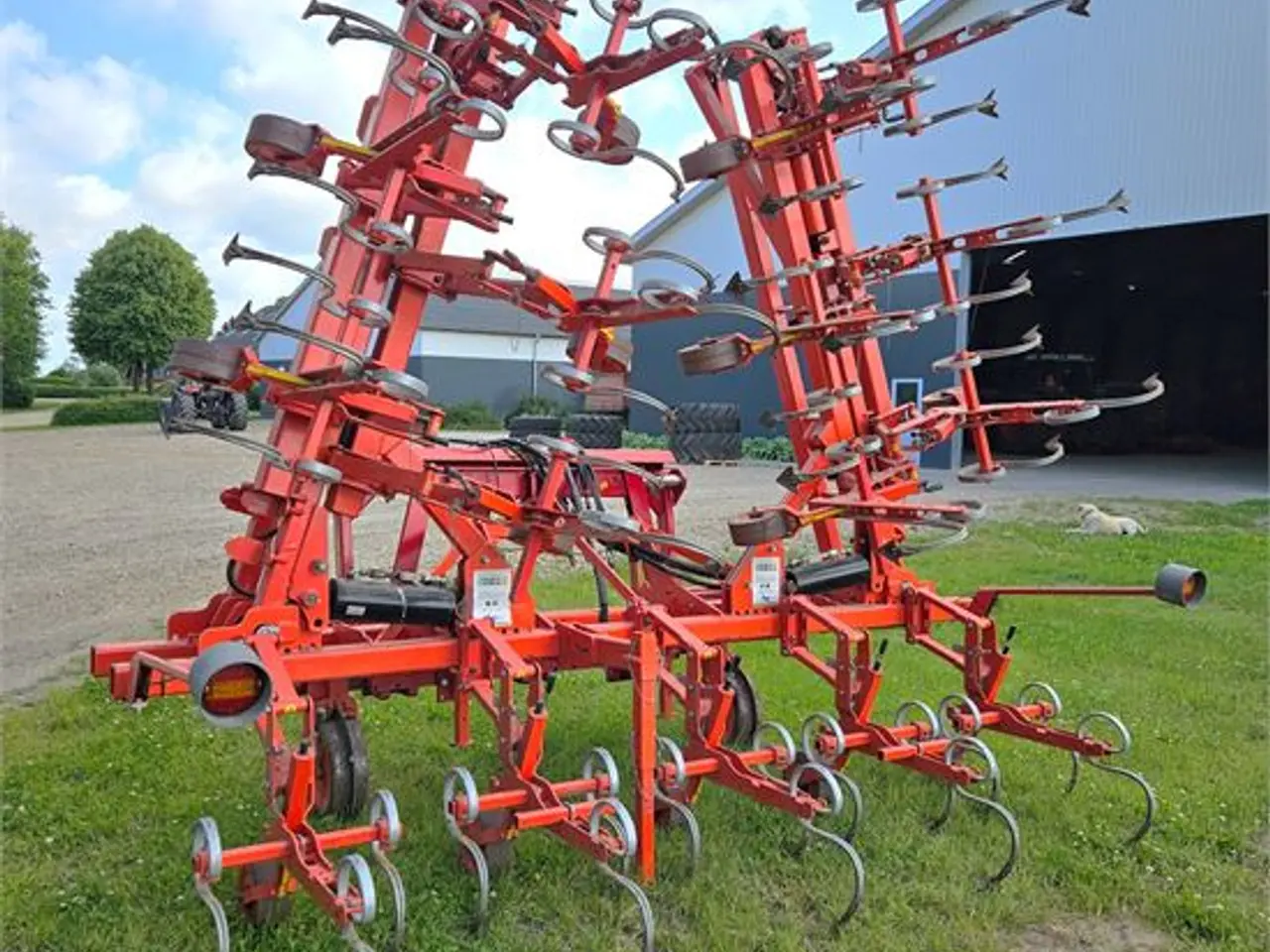 Billede 3 - Maschio DSD-600 - radrenser / row cultivator 12 m