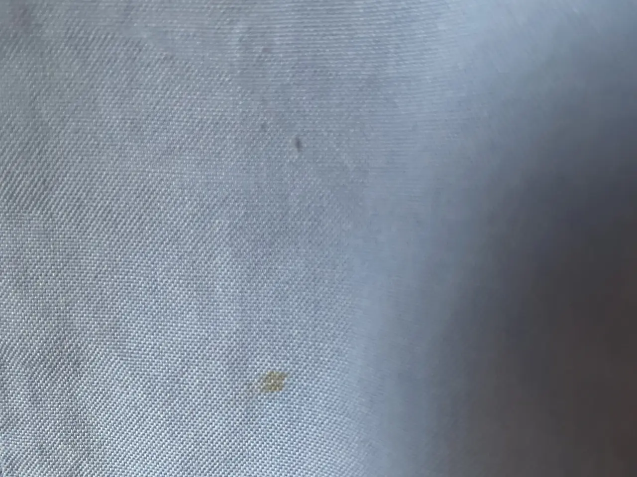 Billede 5 - Cottonfield skjorte