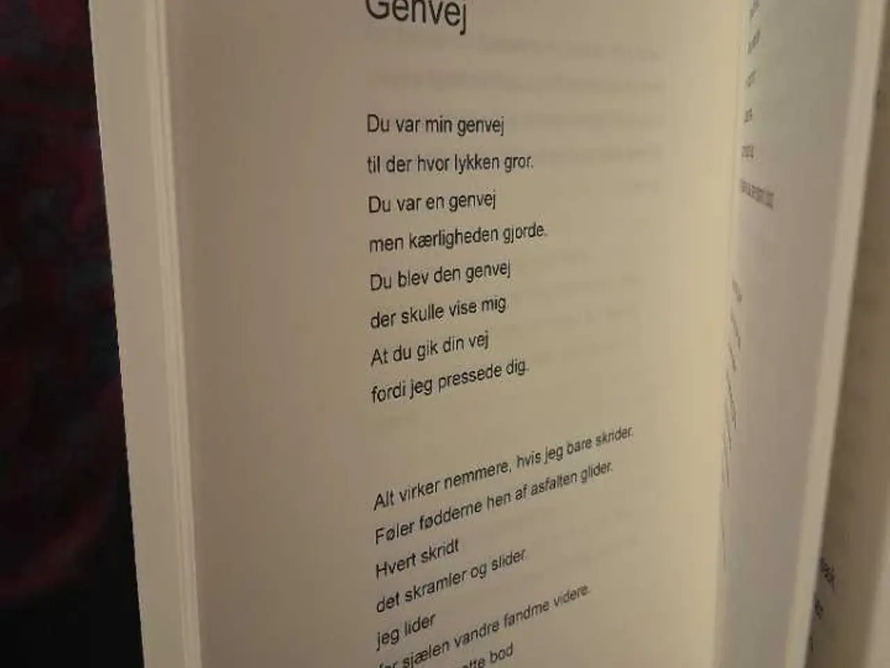 Billede 2 - Digt "vokseværk"