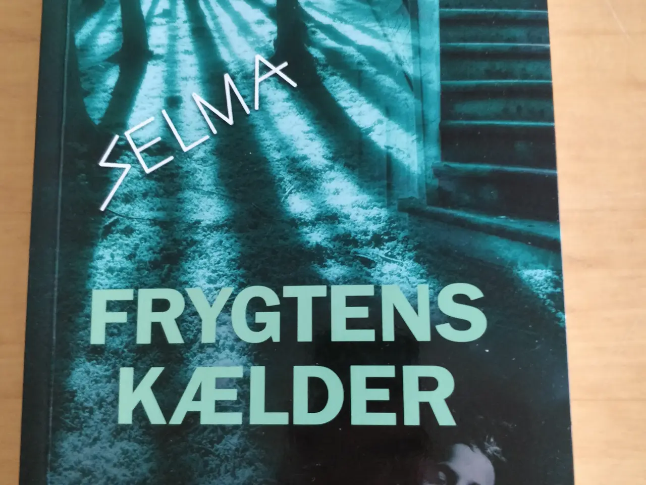 Billede 1 - Frygtens kælder, Randi Kjeldsen