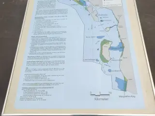 Plakat VADEHAVET