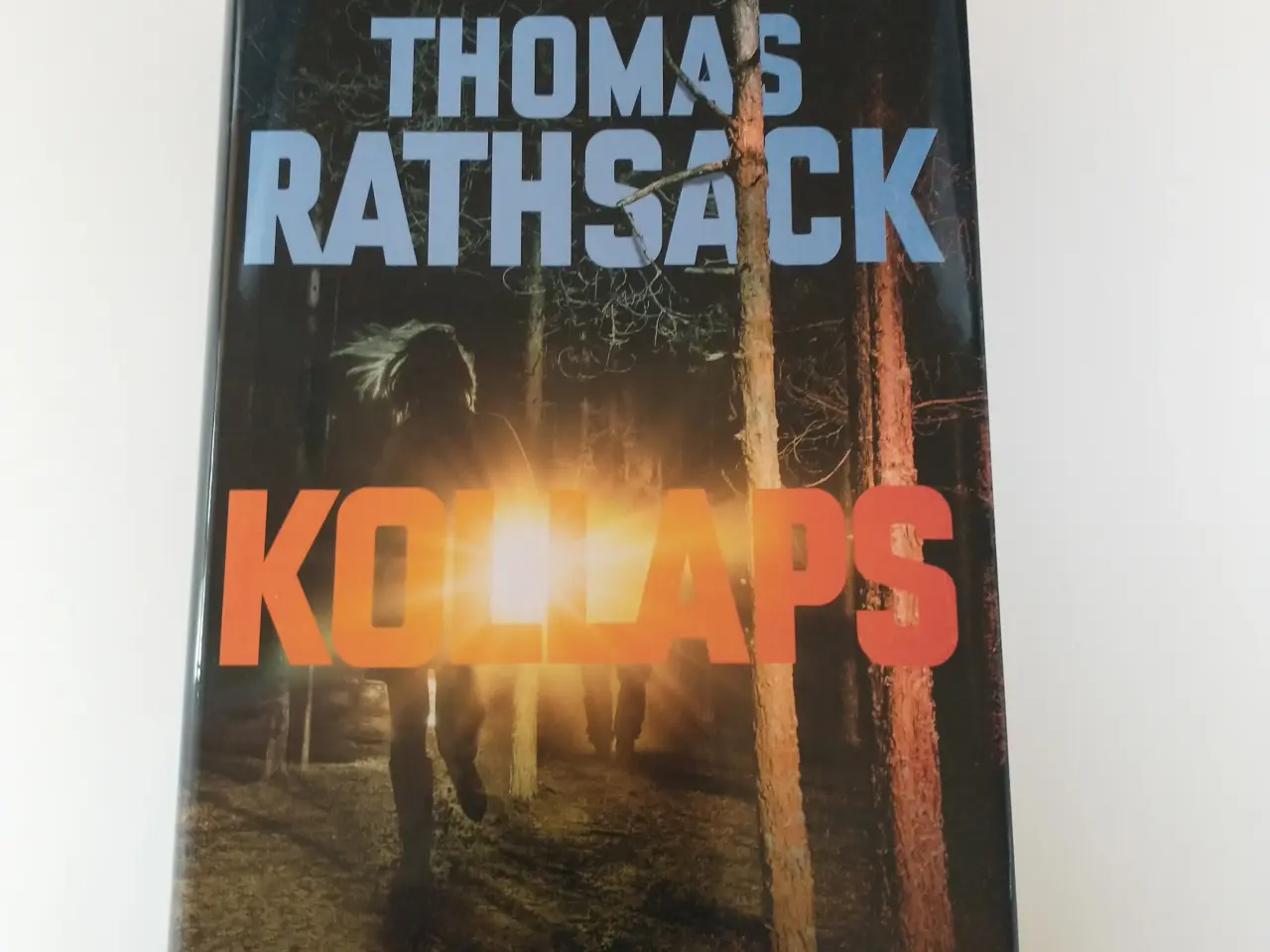 Billede 1 - Kollaps. Af Thomas Rathsack