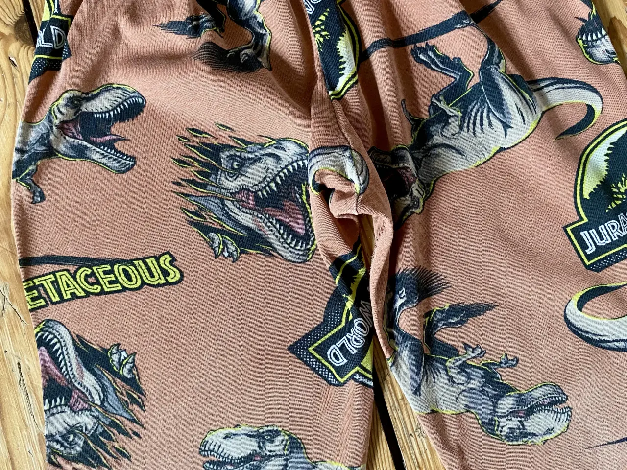 Billede 2 - Dinosaur natbukser 122