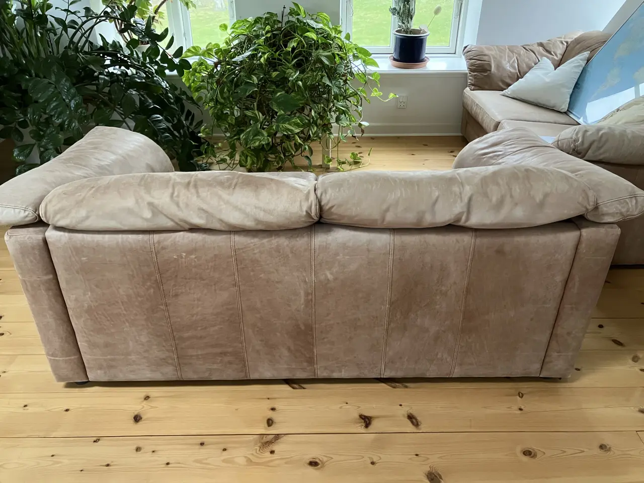 Billede 3 - Interline Italia kvalitets sofa