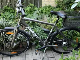 Giant herrecykel 28” Stel ca. 56/57– 24 gear 🚴 ♂️