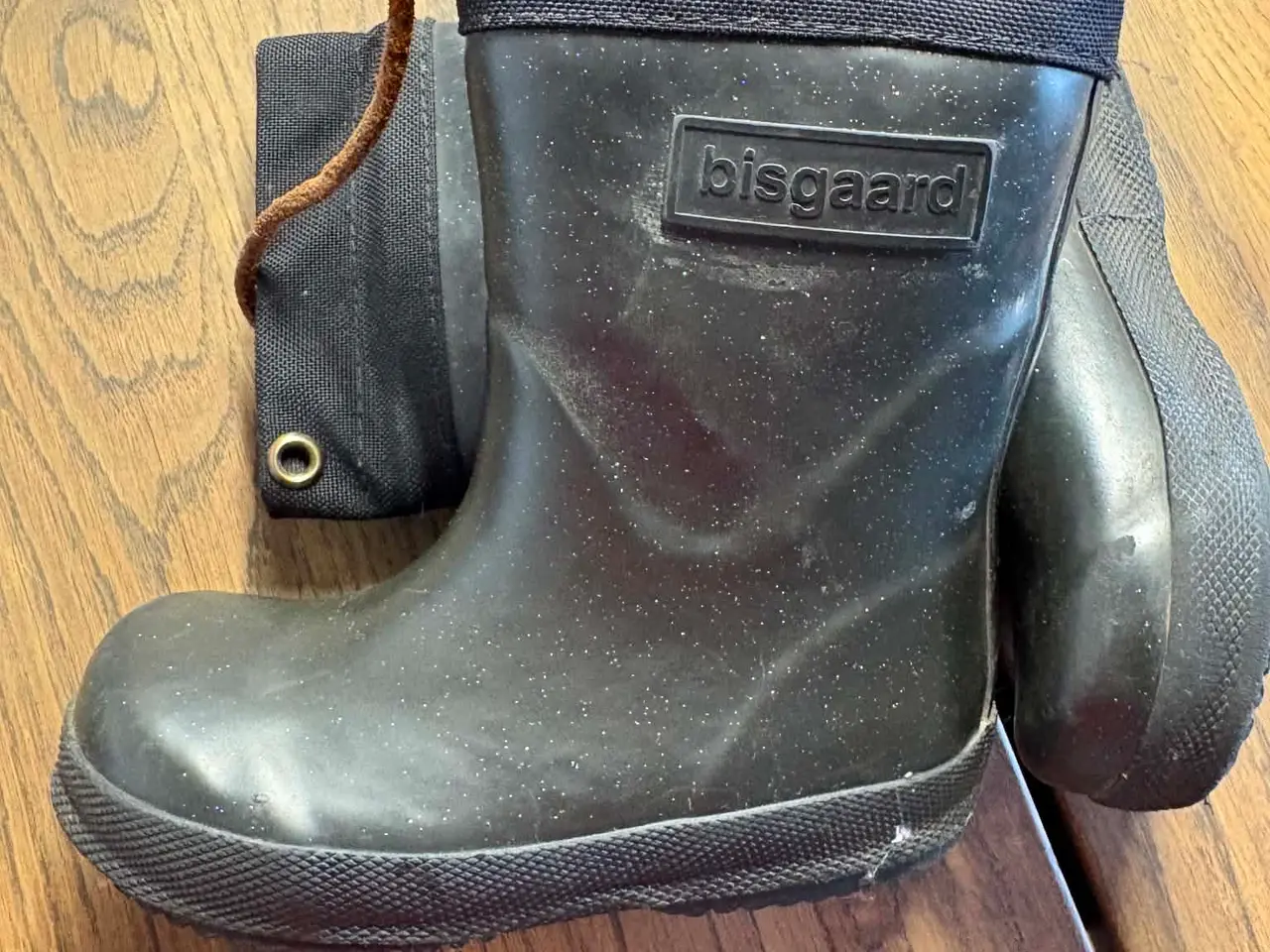 Billede 1 - Bisgaard