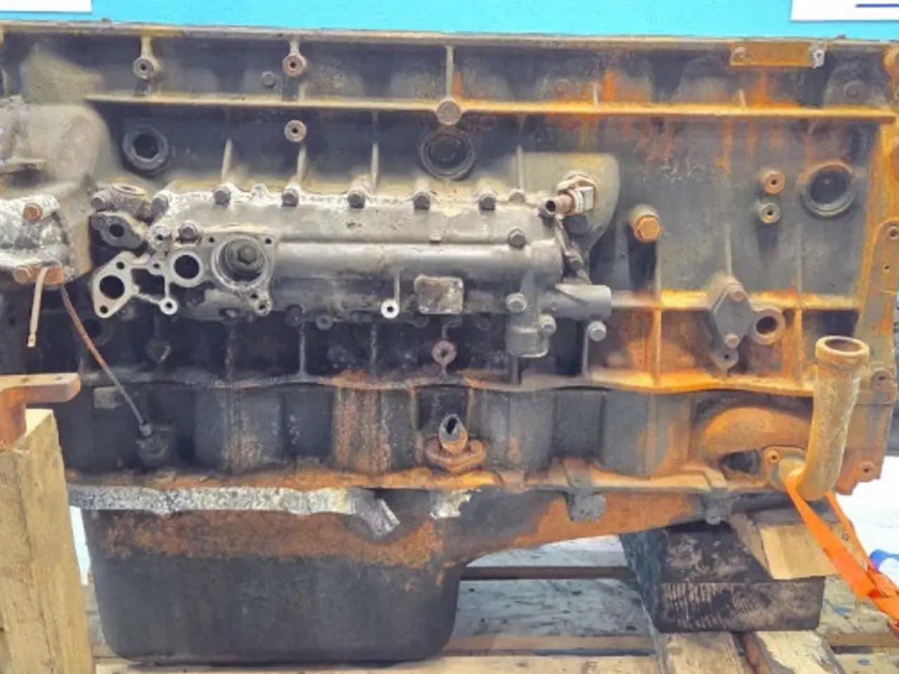 Billede 21 - Iveco Cursor 13 Motor 504052941