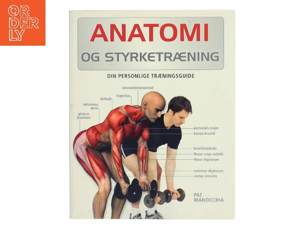 Billede 1 - Anatomi og styrketræning af Pat Manocchia (Bog)
