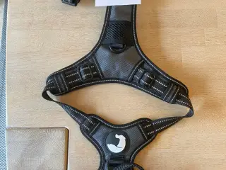 Seler, flexlinie osv