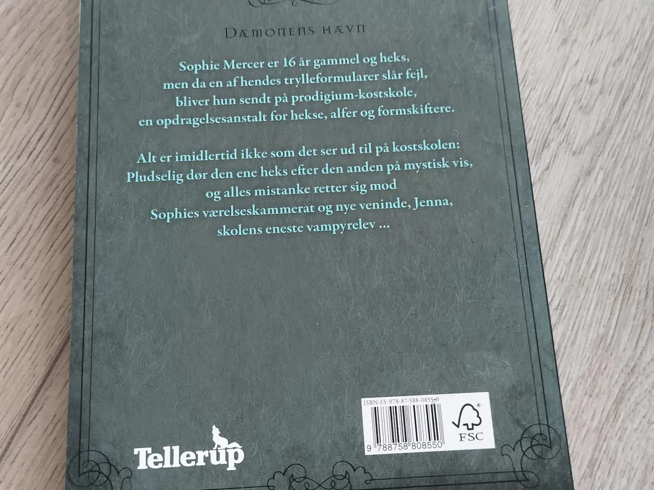 Billede 2 - Dæmonens hævn af Rachel Hawkins