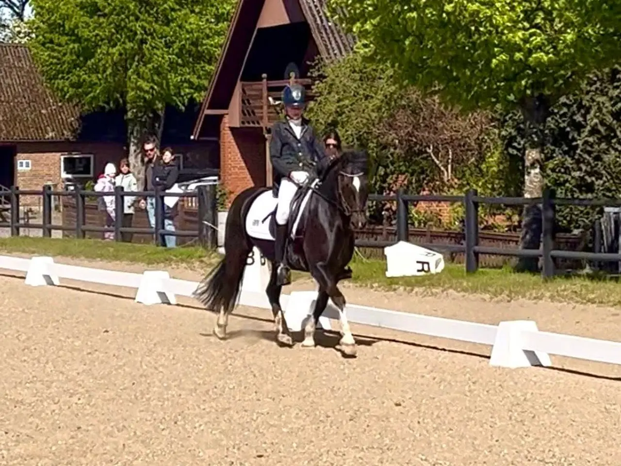 Billede 19 - Max kat 3,super børnepony