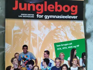 Gymnasiebog 