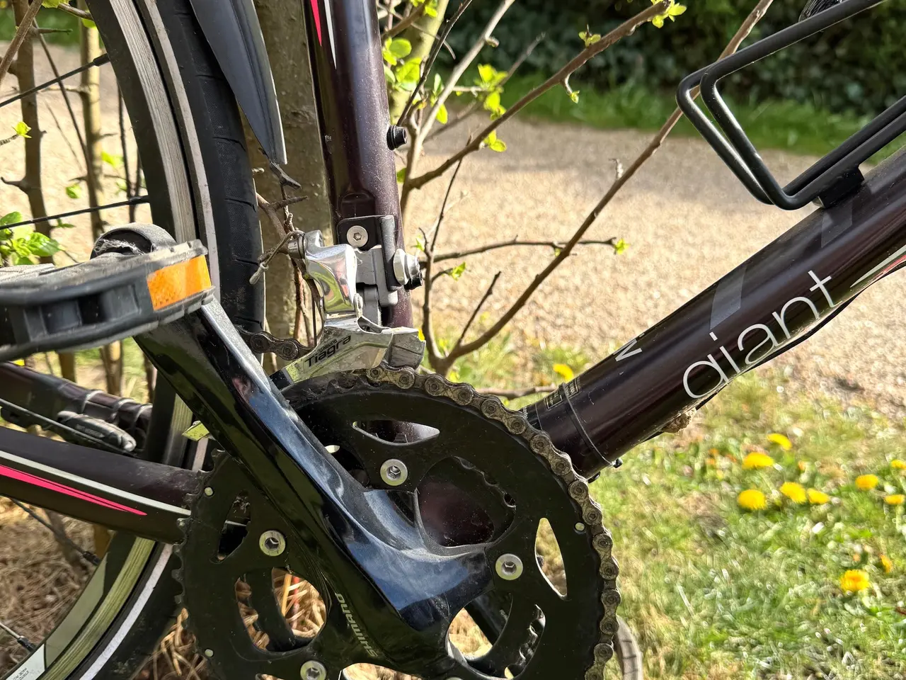 Billede 2 - Giant Thrive Composite - dame