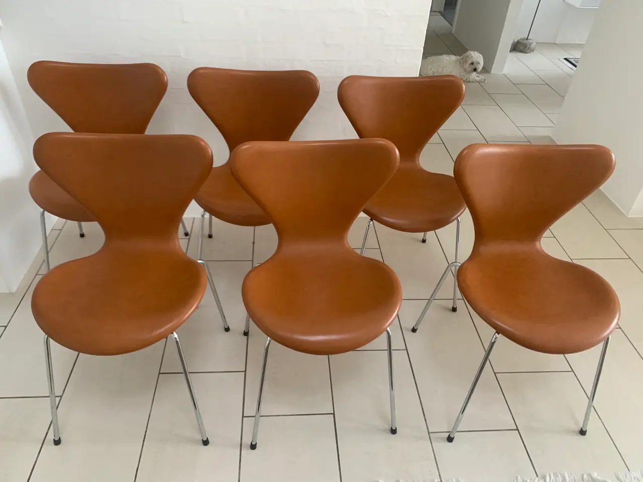 Billede 2 - Arne Jacobsen syverstole 3107 i læder