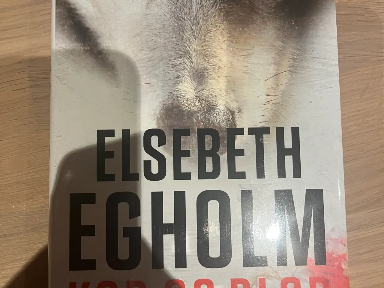 Billede 1 - Elsebeth Egholm - Kød og blod