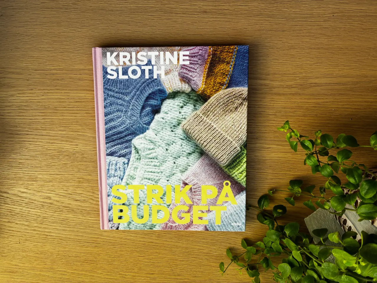 Billede 1 - STRIK PÅ BUDGET af Kristine Sloth