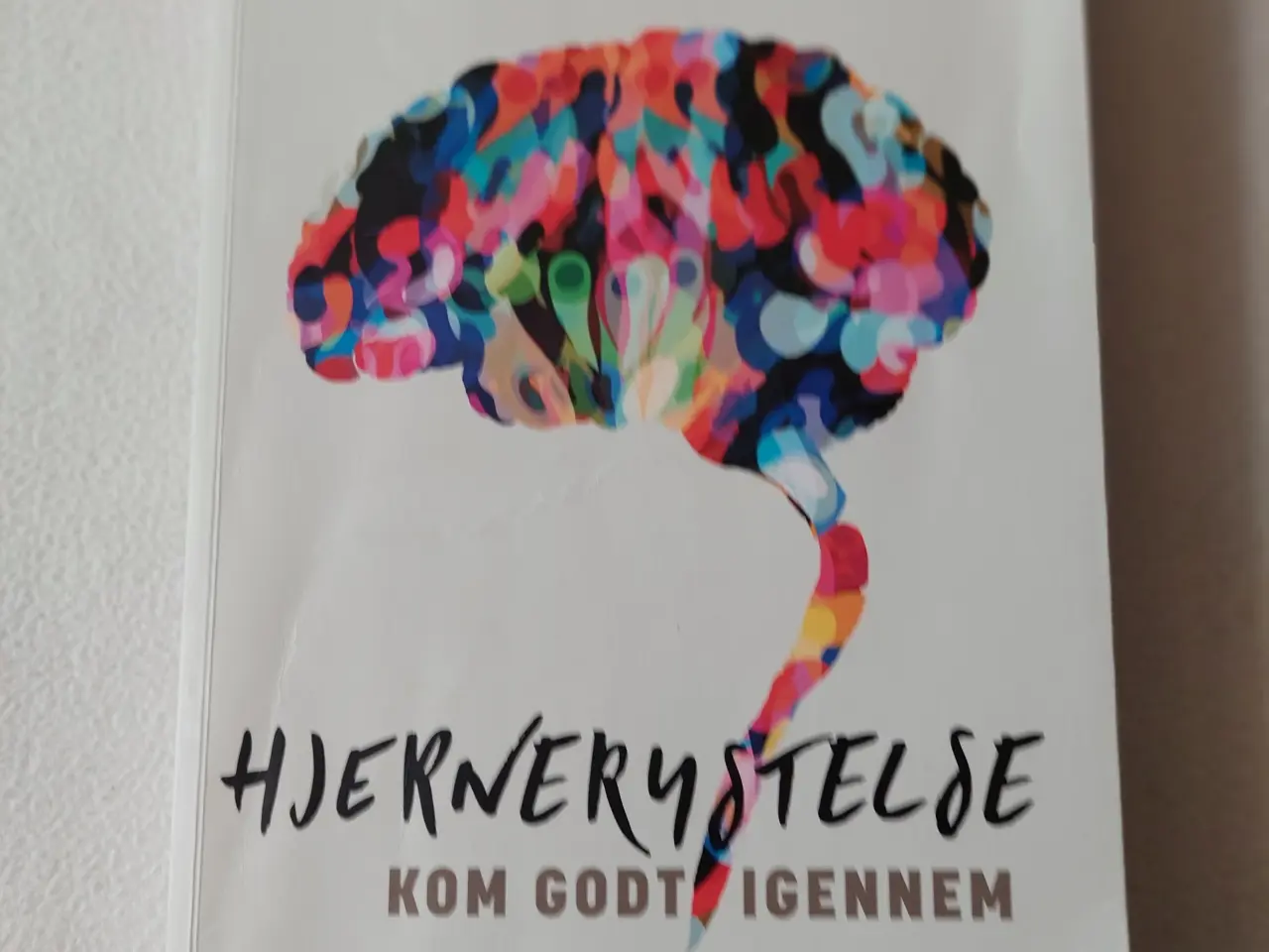 Billede 1 - Hjernerystelse kom godt igennem, 