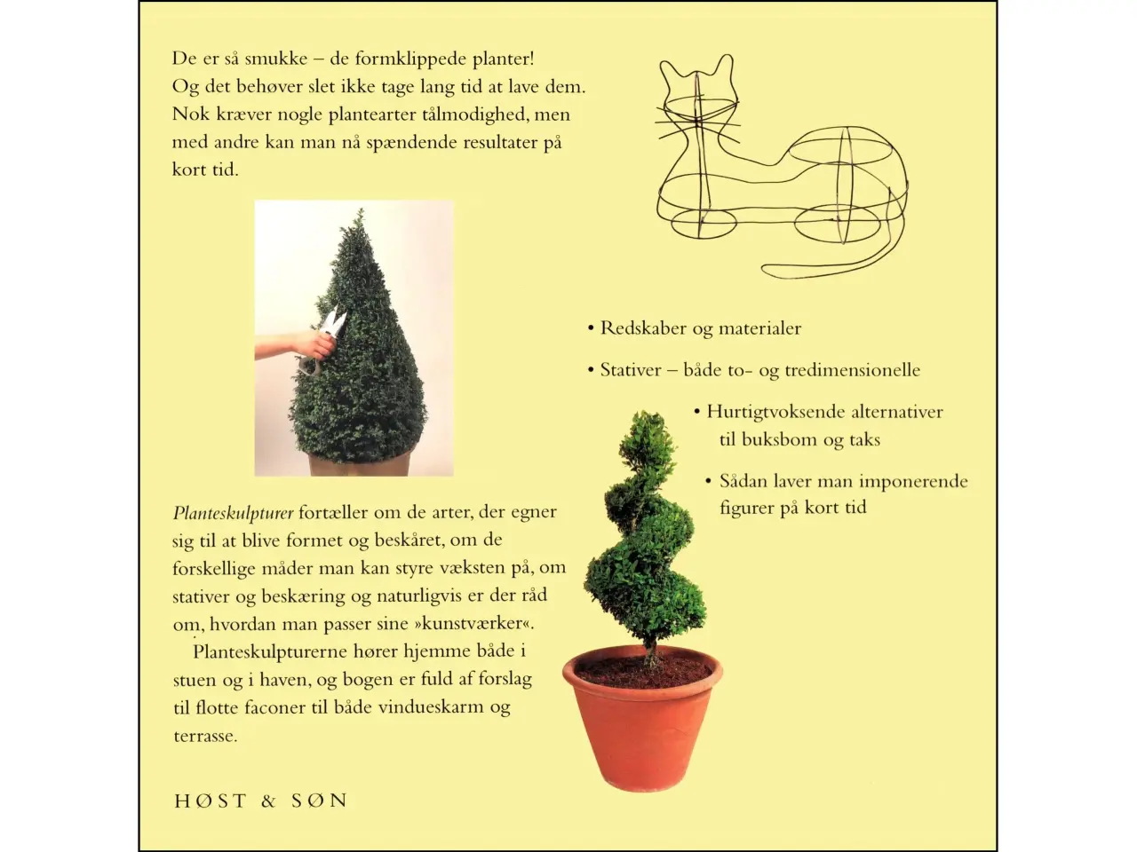 Billede 2 - Planteskulpturer