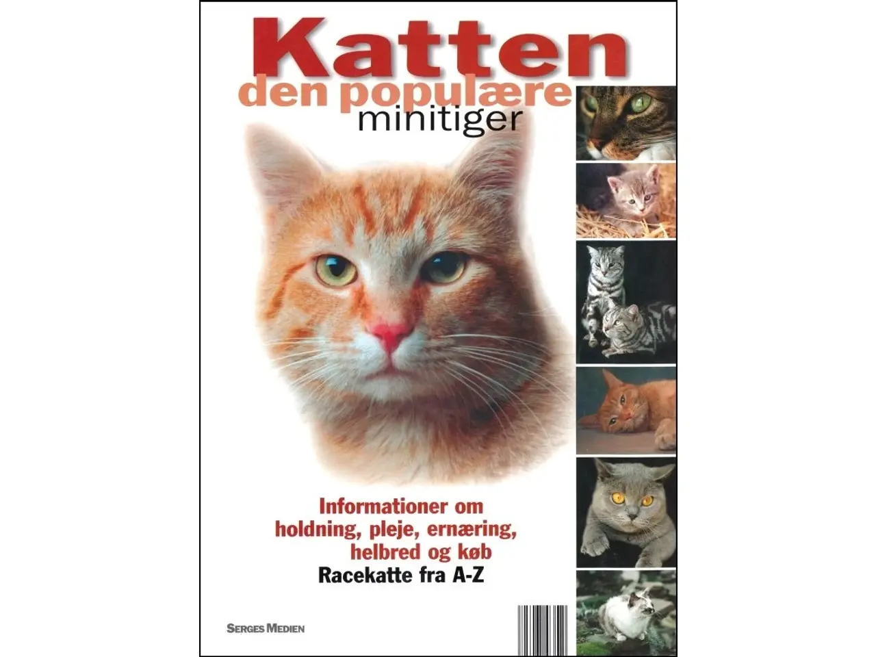 Billede 1 - Katten - den populære minitiger